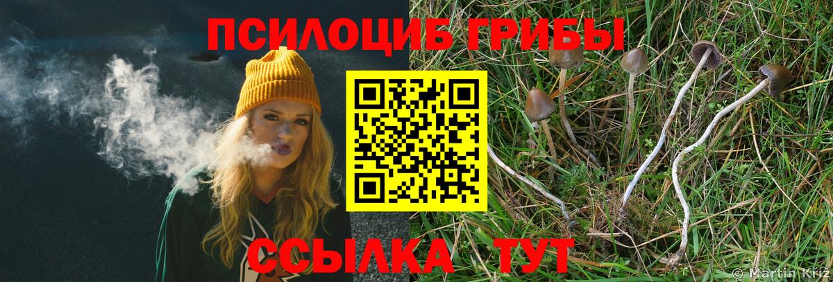 Кириши  купить закладку  Вход с VPN  Псилоцибиновые грибы прущие грибы 