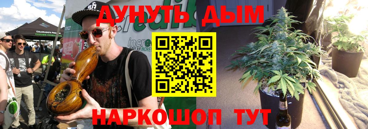 Конопля индика  Канабис сатива  Кириши  МАРИХУАНА семена  Каннабис план  Вход с VPN 